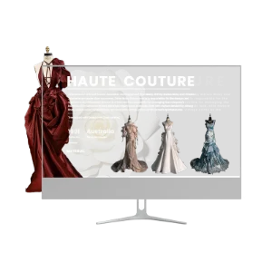 30寸透明显示屏