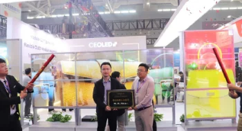 视界无边界：辰显光电联手起立科技开启透明Micro-LED“场景渗透战”