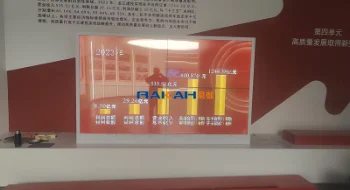 碳中和研究院 | OLED透明屏2x2整机