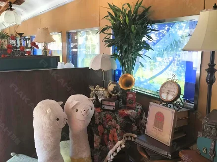 起立科技北京列车餐厅OLED透明屏创新应用营销案例