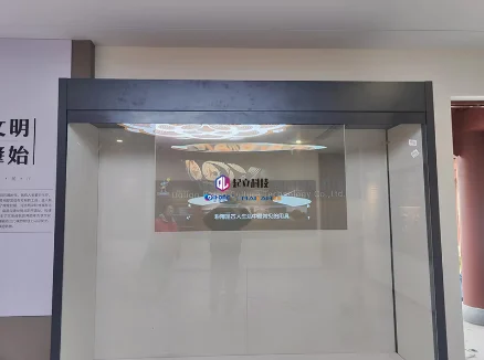 天鹅湖国家旅游度假区 | 展柜OLED透明屏